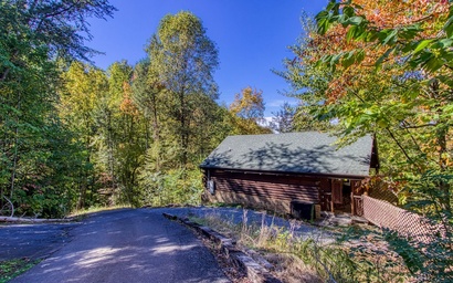 Cozy Bear Lodge