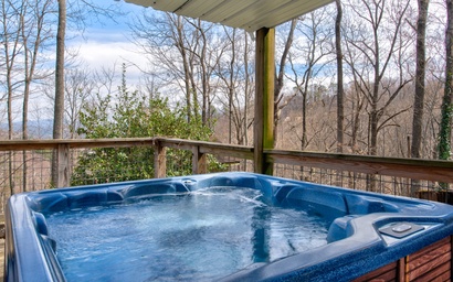Bear View Chalet