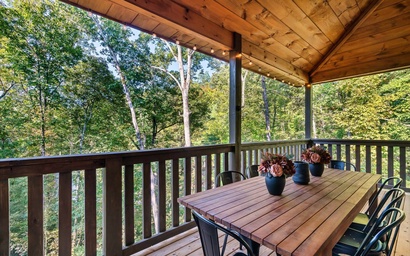 Bear Up There Cabin 5