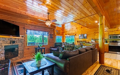 Bear Essentials Lodge 2