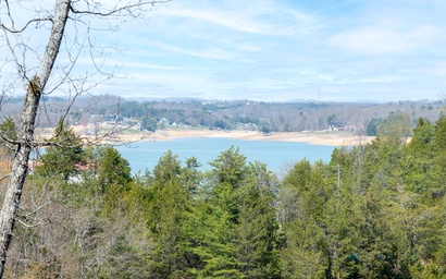 Bearfoot Cove 5
