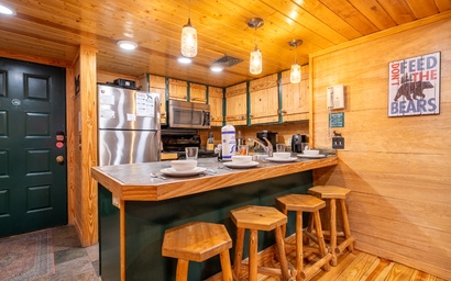 Black Bear Hideout 4