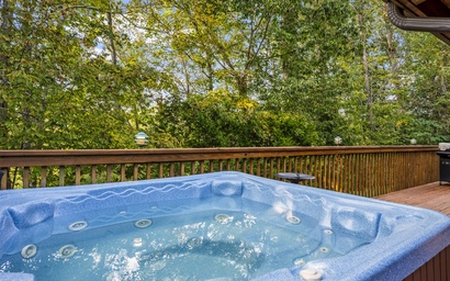 Majestic Elk Hideaway 4