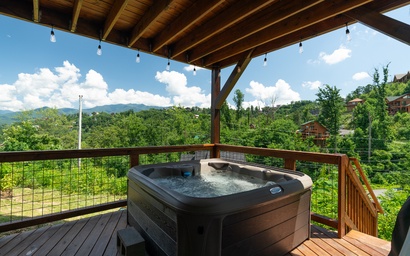 Black Bear Sanctuary 3