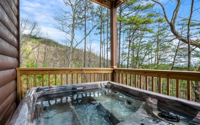 Beartastic Mountain View 3