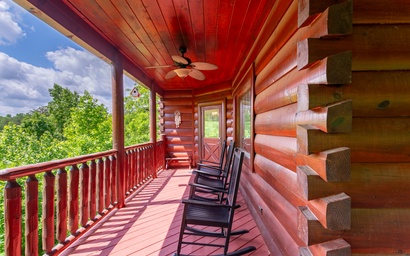 Bear Essentials Lodge 3