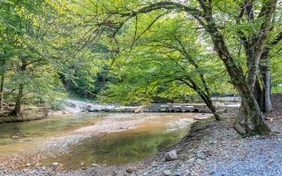 Cabin on the Creek 5