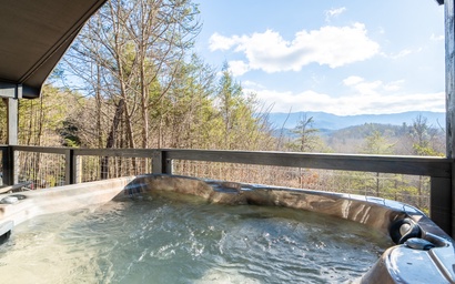 Country Bear Hideaway