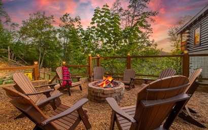 Sharp Dressed Bear 4