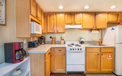 Smoky Mountain Condo 5