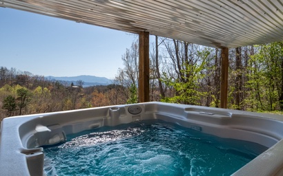 Laurel Mountain Lodge