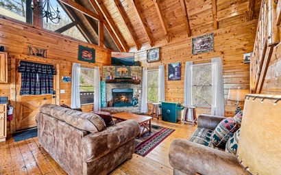 Beartastic Mountain View 2