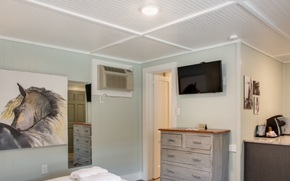 TH05: Mahi Mahi Room 2