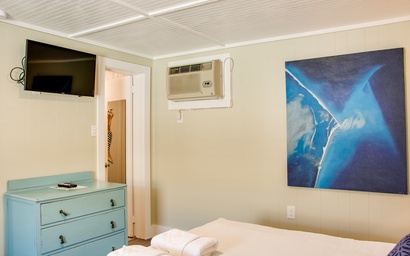 TH06: Yellowfin Room 2