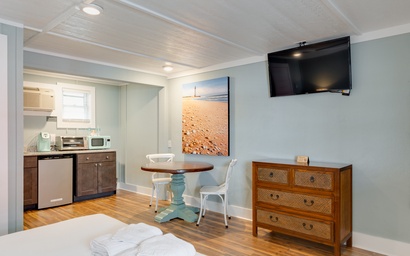 See Sea 04: Turtle Roll 3