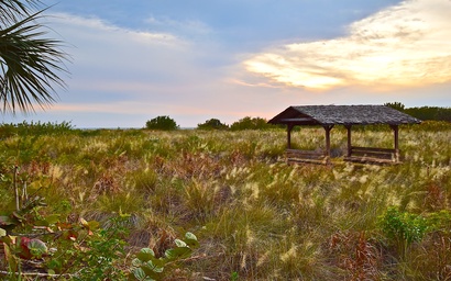 Direct Beachfront Delight