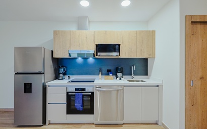 Bonsai 1BR Suite-Bamboo 206 4
