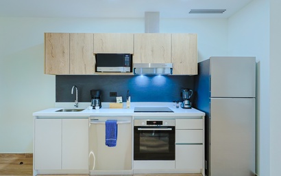 Bonsai Accessible 1BR Suite-Forest 111 6