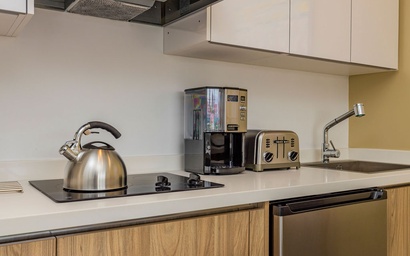 HH-Studio319 - You'll Aloe Vera much this Studio! 10