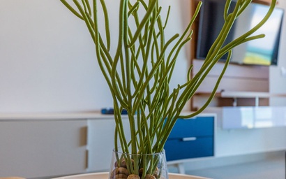 Studio-Azure422 - Cadushi Blues Studio for two, Ocean view 6