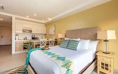 HH-Studio319 - You'll Aloe Vera much this Studio! 8