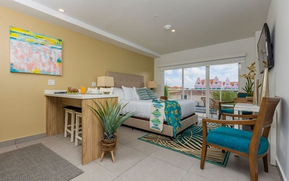 HH-Studio319 - You'll Aloe Vera much this Studio! 4