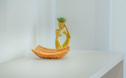 Bonsai Studio-Blossom 303 9