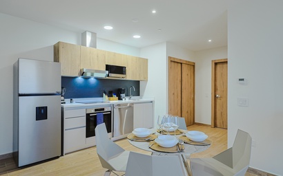 Bonsai 1BR Suite-Bamboo 206 3