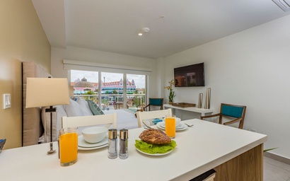 HH-Studio319 - You'll Aloe Vera much this Studio! 5