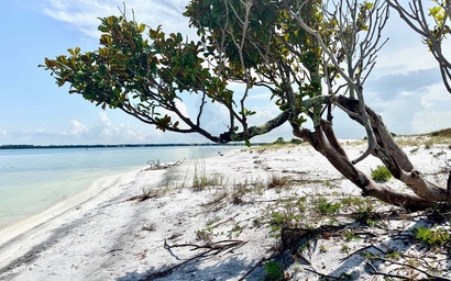 White Sands Beach Retreat 5