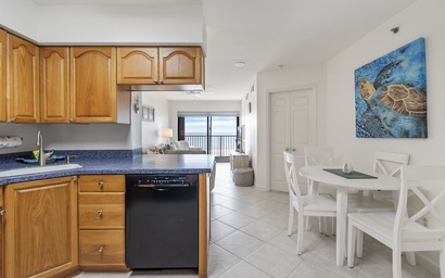 Sundunes 123 - Dolphins & Dunes 7