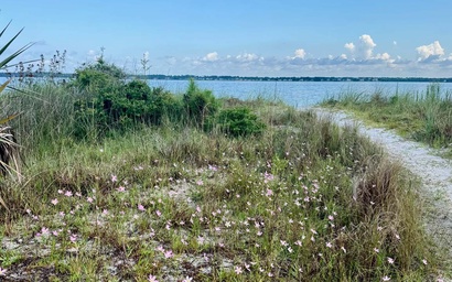 White Sands Beach Retreat 4