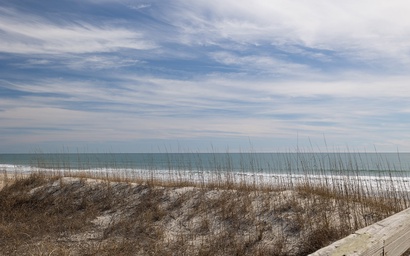 Sassy Seagull East 3