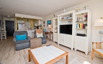 Summer Winds C-421 5