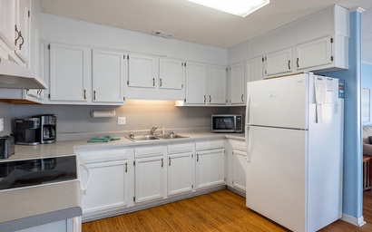 Sassy Seagull East 8