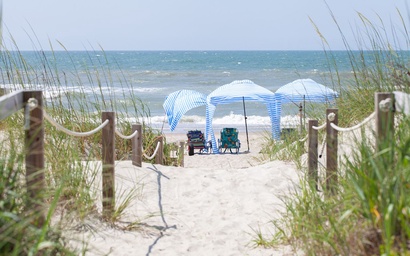 Bluebird By the Sea 4