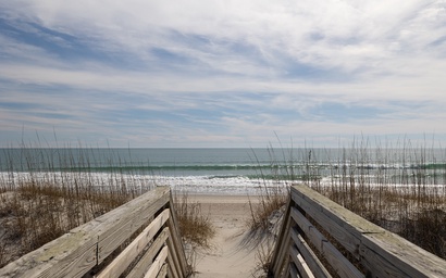 Sassy Seagull East 2