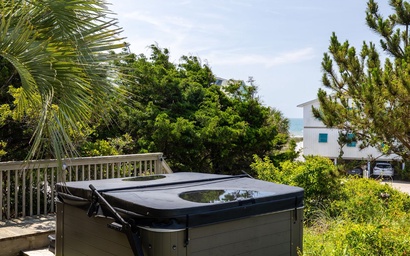 Bluebird By the Sea 5