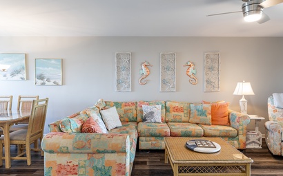 Summer Winds C-325 2