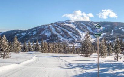 MVC 25 Swift Bear Chalet 3