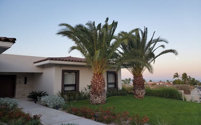 Palmilla Estates 58 3