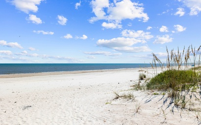 Southern Reflections 2