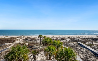 Above the Dune