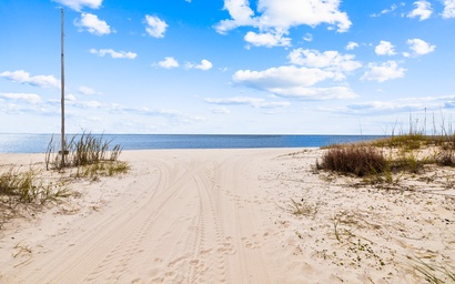 Belle of the Beach 3