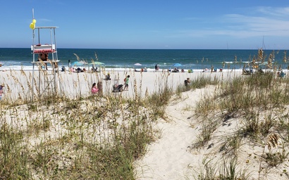 Blueberry Bungalow 3