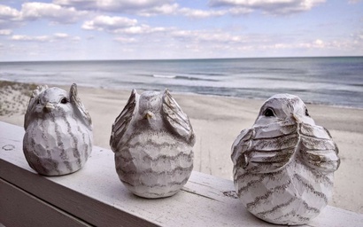 Ocean Dunes 805 - Three Little Birds