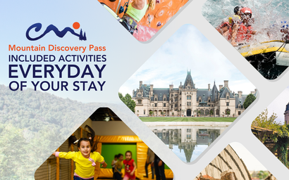 Hill Top Tree House 6