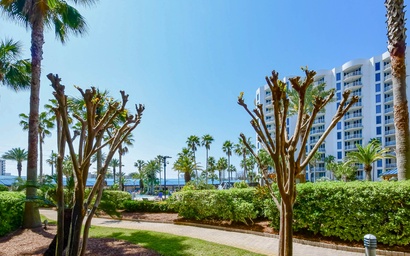 The Palms of Destin 1111 Junior 3