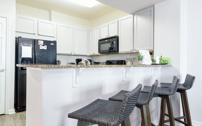 The Palms of Destin 2309 Junior 8