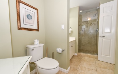 Silver Shells St. Croix 902 17